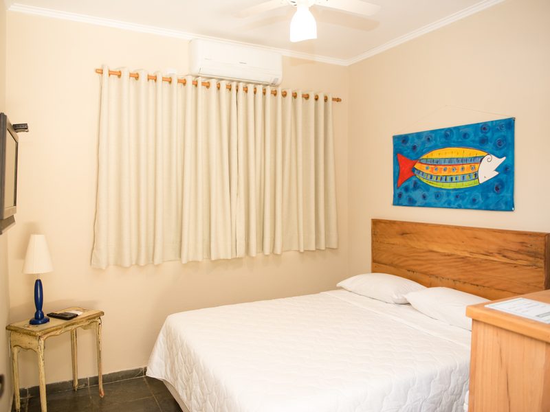 dsc-11-redimensionadaaaoki