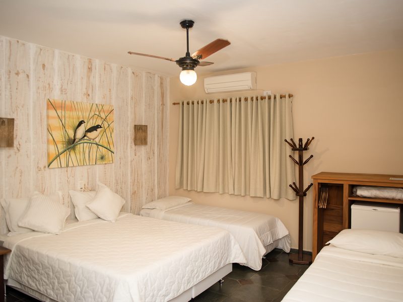 dsc-13-redimensionadaaaoki