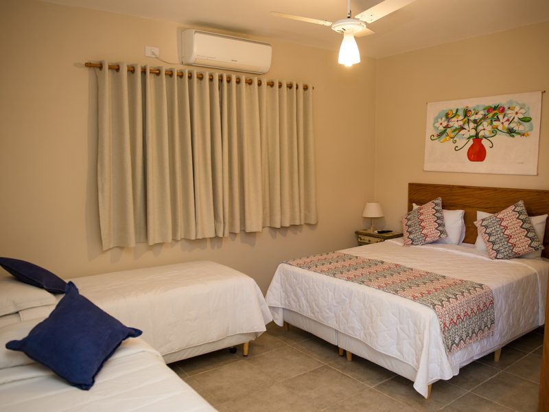 dsc-6.2-redimensionadaaaoki